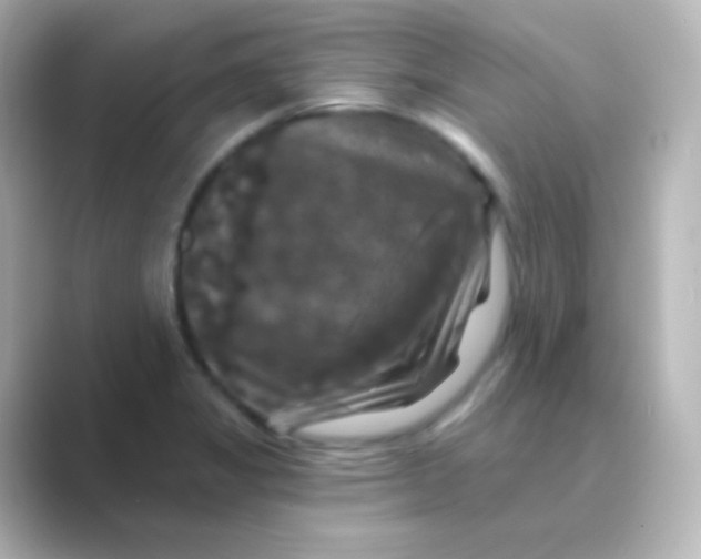 X0000088691325200706211920