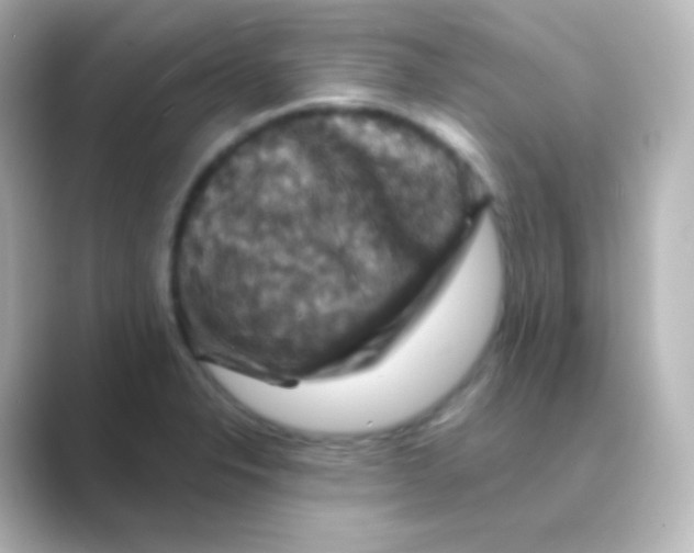 X0000088691326200706211920