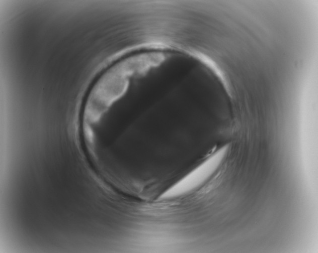 X0000088691327200706211920