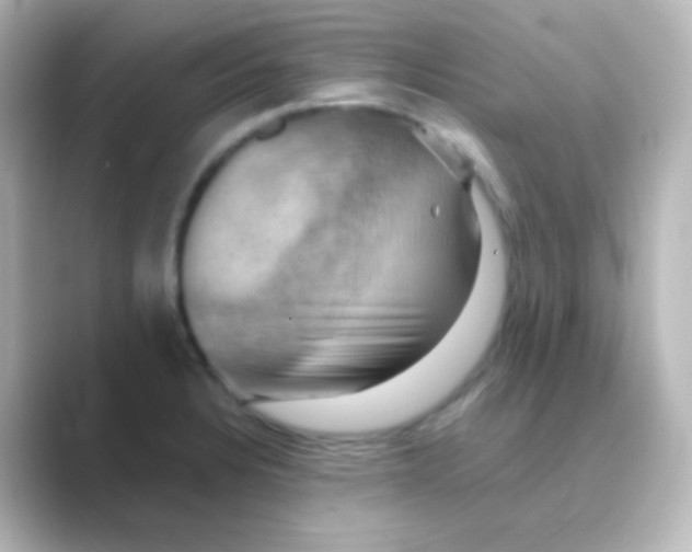 X0000088691328200706211920