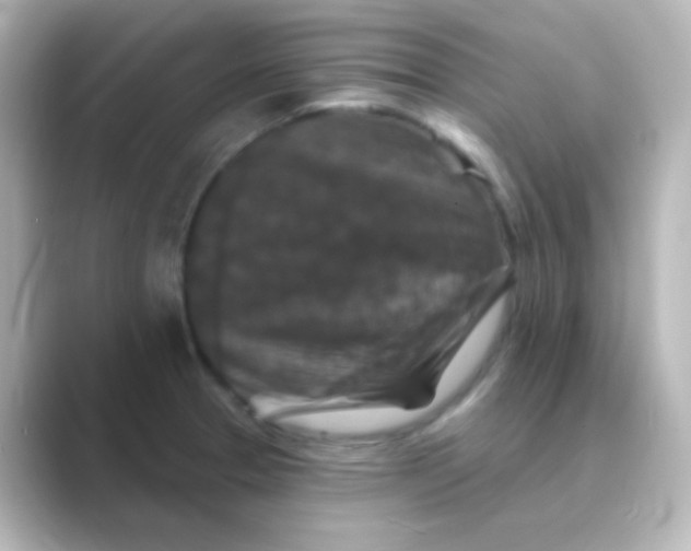 X0000088691329200706211920