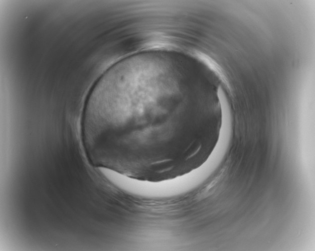 X0000088691330200706211920