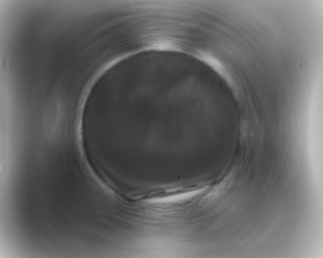 X0000088691331200706211920