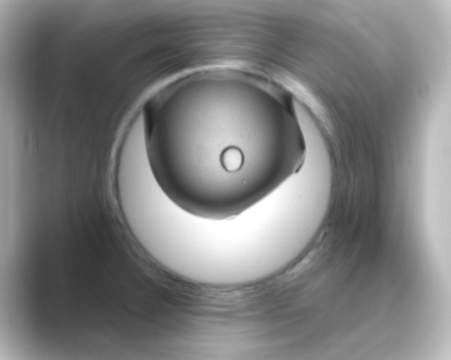 X0000088691332200706211920