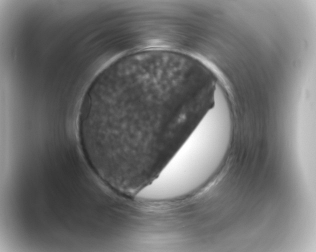 X0000088691333200706211920