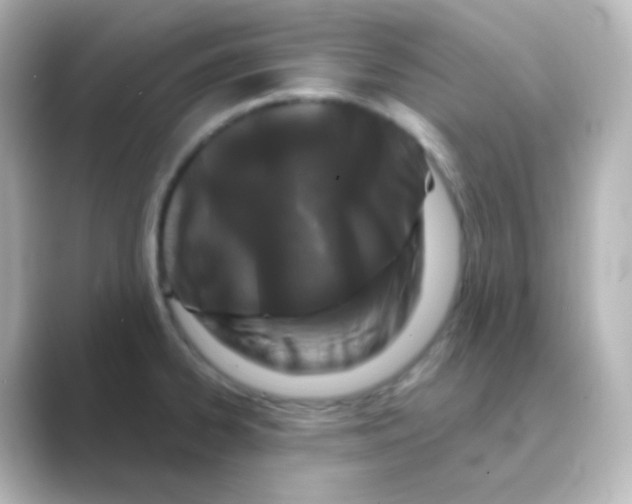 X0000088691334200706211920