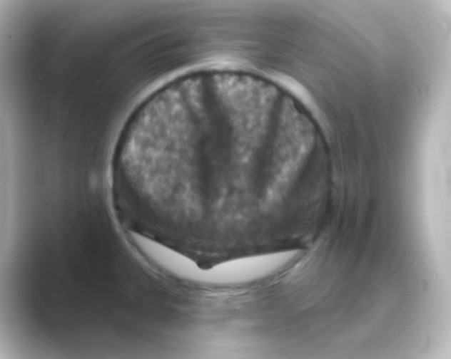 X0000088691335200706211920