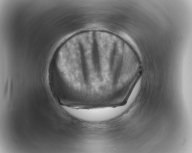 X0000088691336200706211920