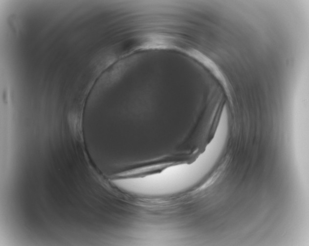 X0000088691337200706211920