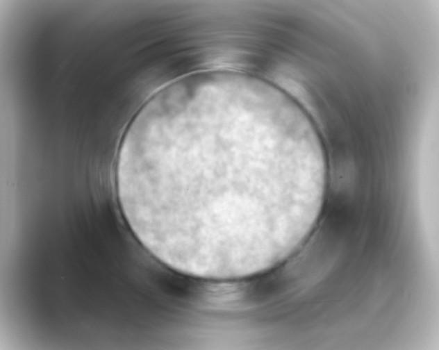 X0000088691338200706211920
