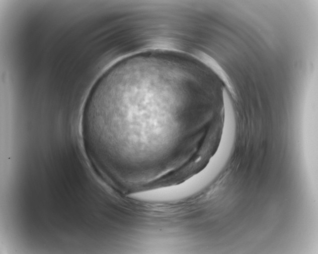 X0000088691339200706211920