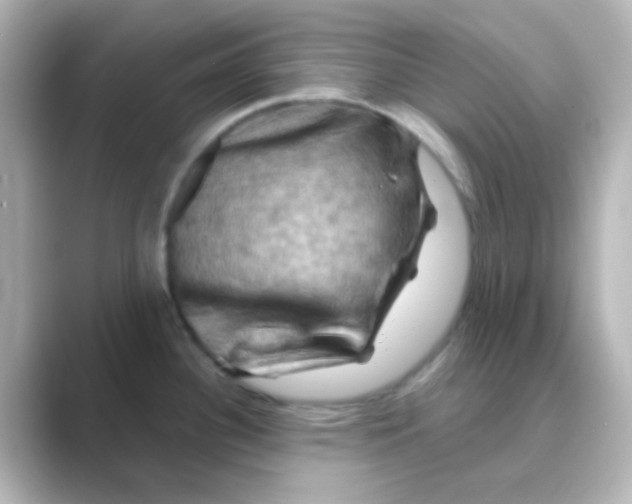 X0000088691340200706211920