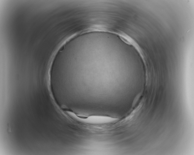 X0000088691341200706211920