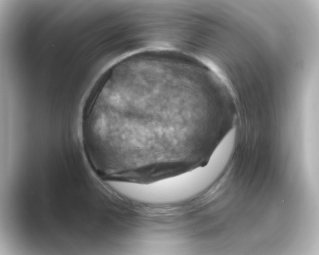 X0000088691342200706211920