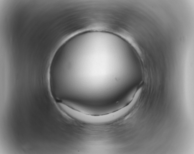 X0000088691343200706211920