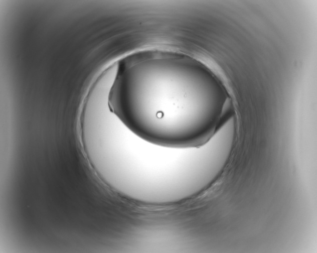 X0000088691344200706211920