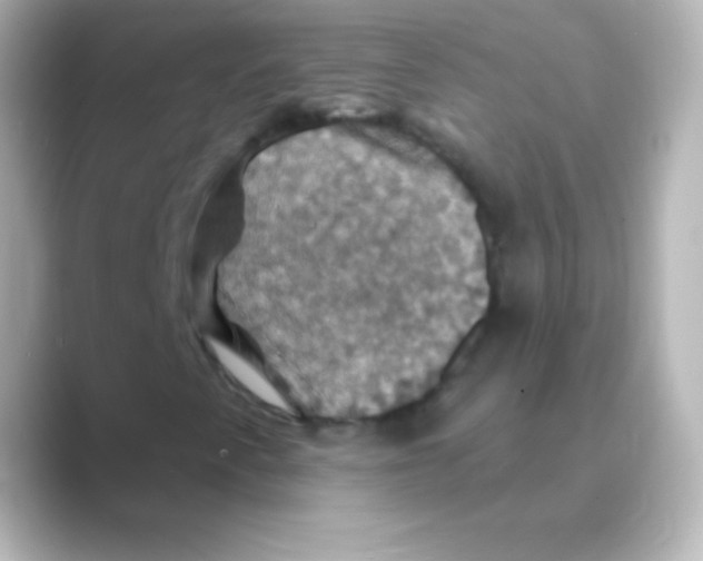 X0000088691345200706211919