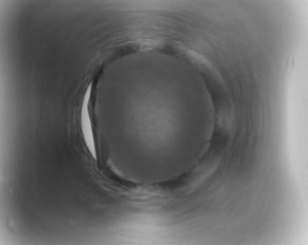 X0000088691346200706211919