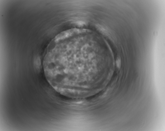 X0000088691347200706211919