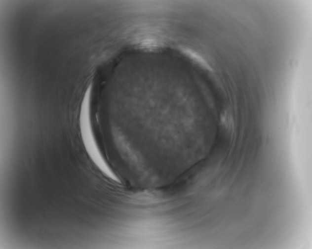 X0000088691348200706211919