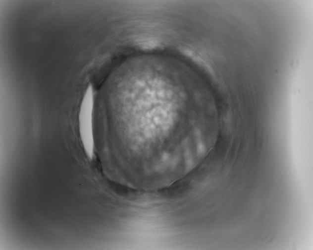 X0000088691349200706211919