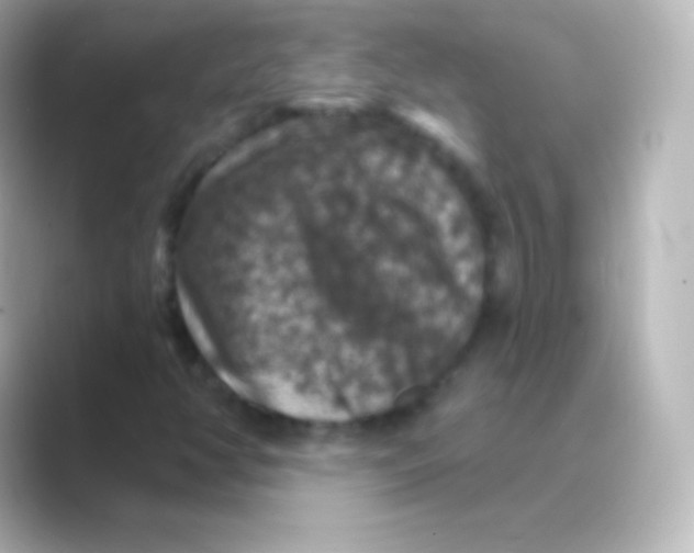 X0000088691350200706211919