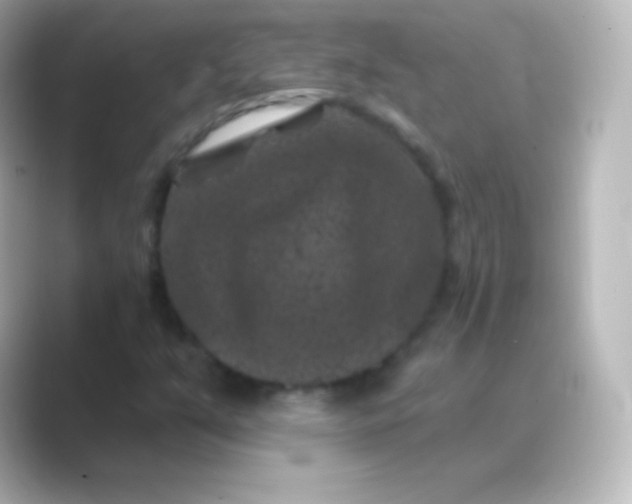 X0000088691351200706211919