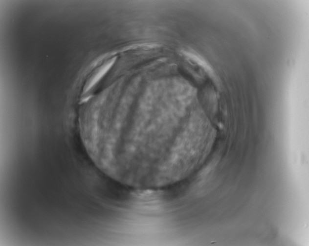 X0000088691352200706211919