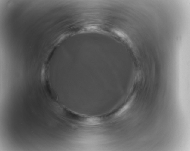 X0000088691353200706211919