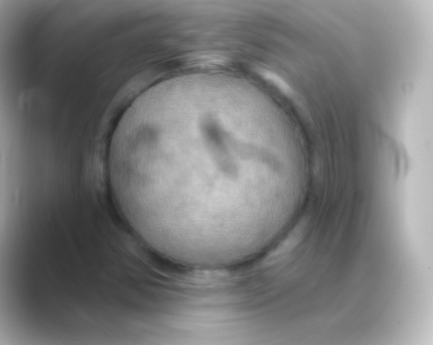X0000088691354200706211919