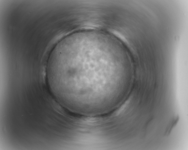 X0000088691355200706211919