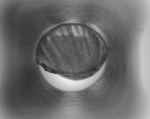 X0000088691356200706211919