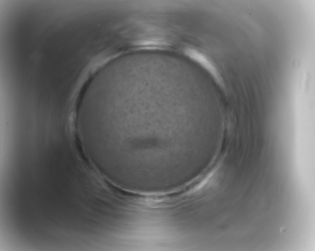 X0000088691357200706211919