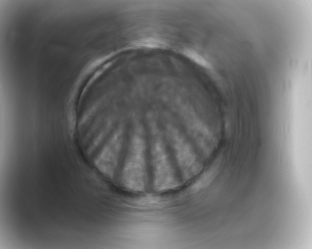 X0000088691358200706211919