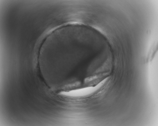 X0000088691359200706211919