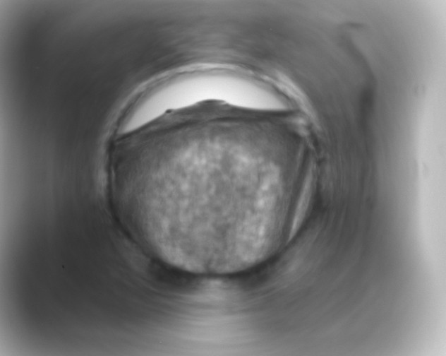 X0000088691360200706211919