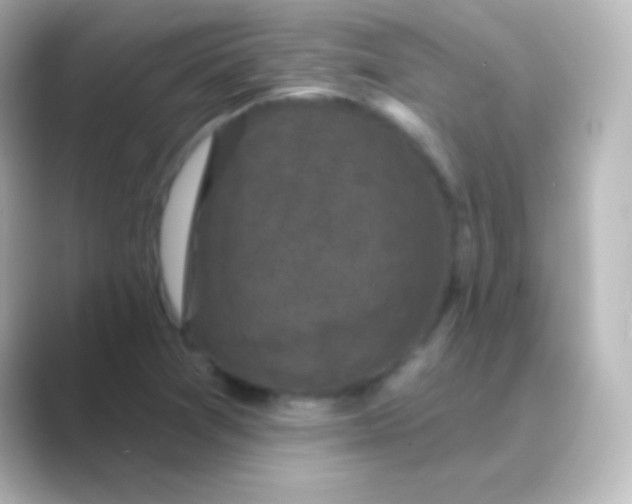 X0000088691361200706211919