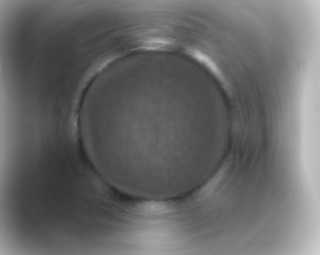 X0000088691362200706211919