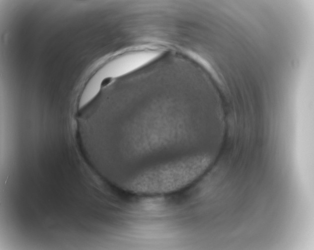 X0000088691363200706211919