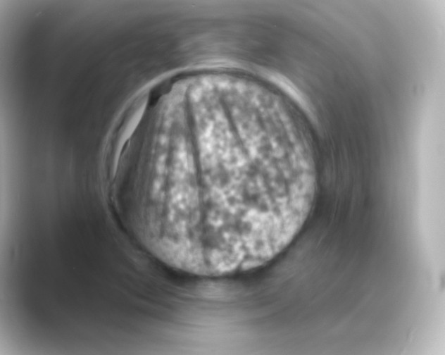X0000088691364200706211919
