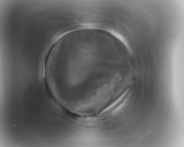 X0000088691365200706211919