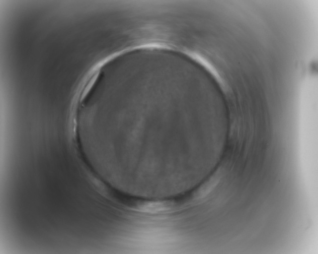 X0000088691367200706211919