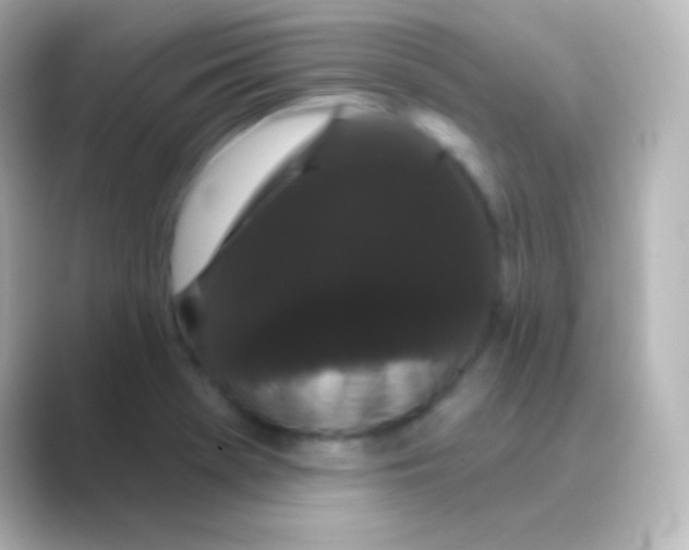 X0000088691369200706211919