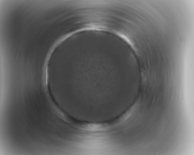 X0000088691371200706211919
