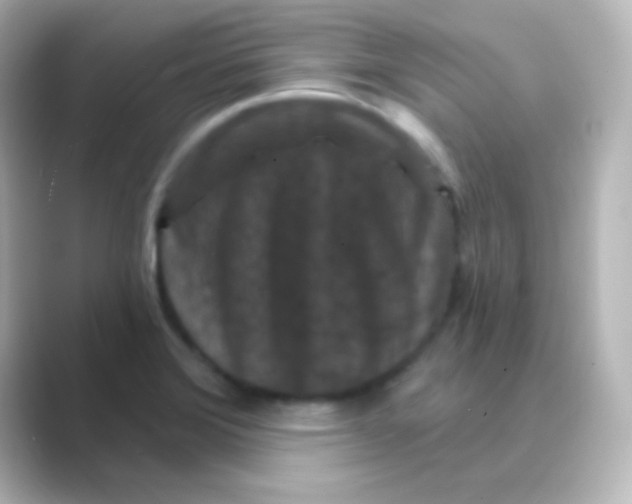 X0000088691372200706211919