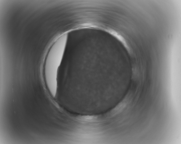 X0000088691373200706211919
