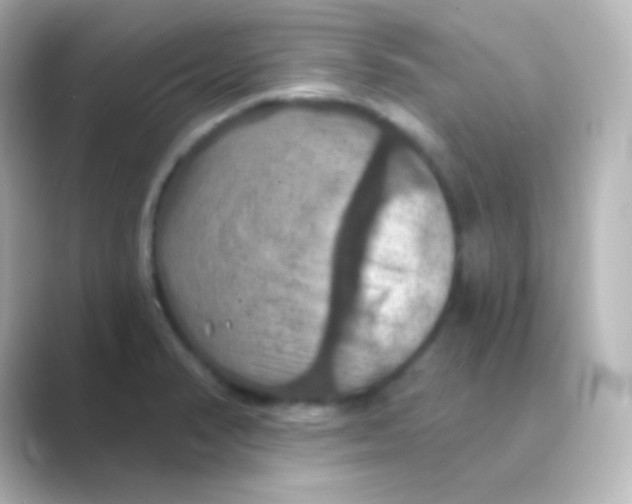 X0000088691374200706211919