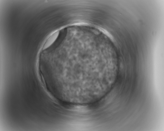 X0000088691375200706211919