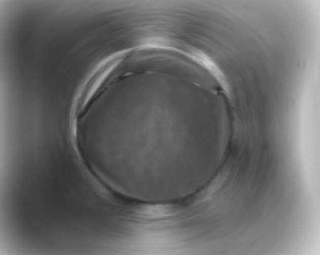 X0000088691376200706211919