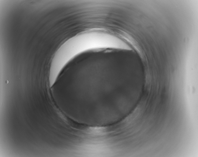 X0000088691377200706211919